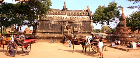 Horse Carriages in Bagan.