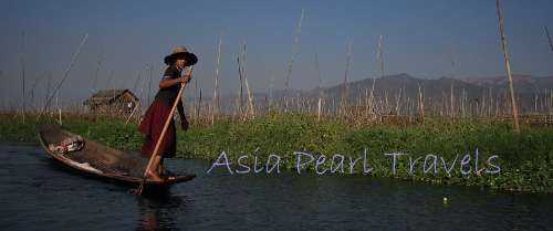 Asia Pearl Travels