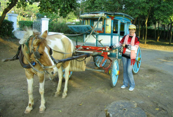 Pyin Oo Lwin Horse Cart